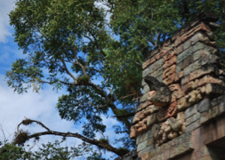 roadtrip-2013_00307